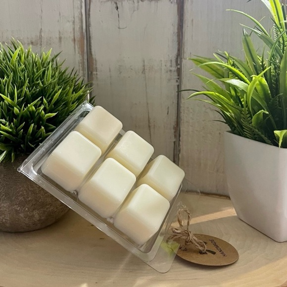 Lil bit country soaps & candles by Becca LLC Other - Handcrafted Nutmeg & cinnamon home for the holidays 2 pack wax melts